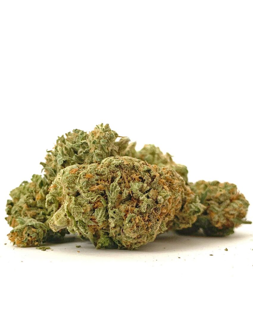 Nuken - Indica