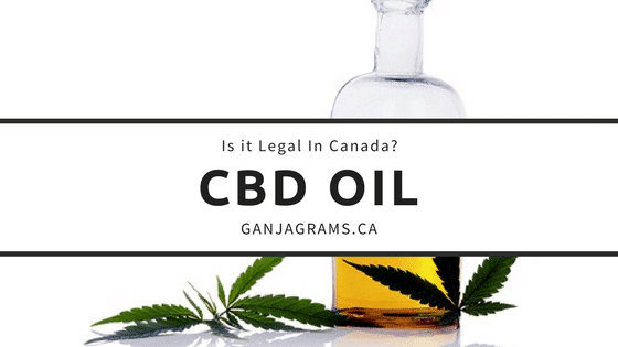 CBD Oil legal in Canada