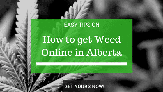 How to Buy Weed Online in Alberta | Ganjagrams
