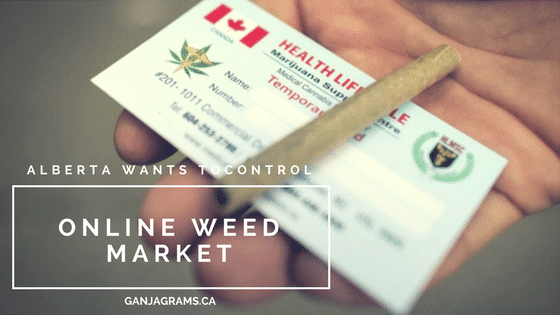 Alberta Control Online Weed Market; Private Sector Own Retail Stores