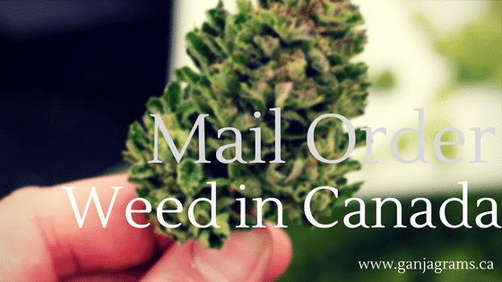 mail order weed