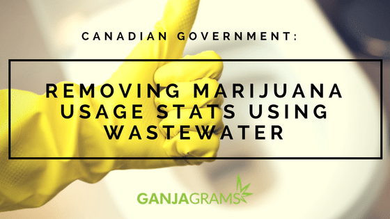 Canadian Government- Removing Marijuana Usage Stats using Wastewater