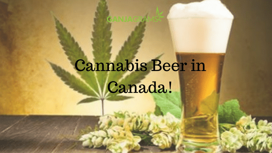 Cannabis Beer in Canada!