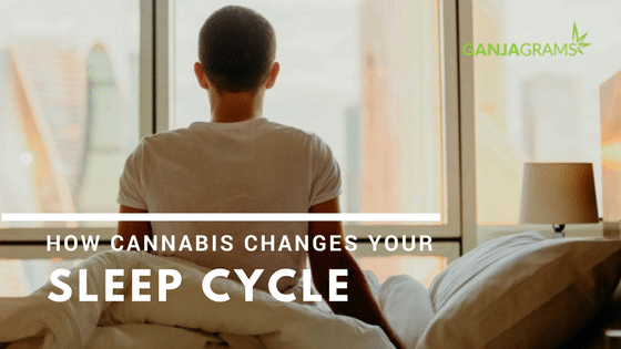 How Cannabis Changes Your Sleep Cycle