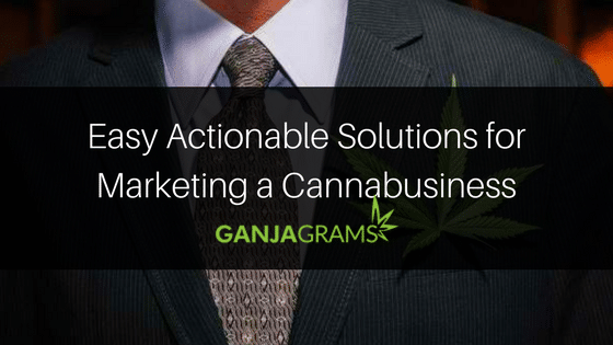 Cannabis Business Marketing