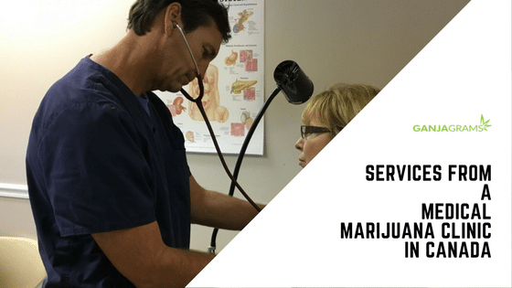 Medical Marijuana Clinic Services in Canada