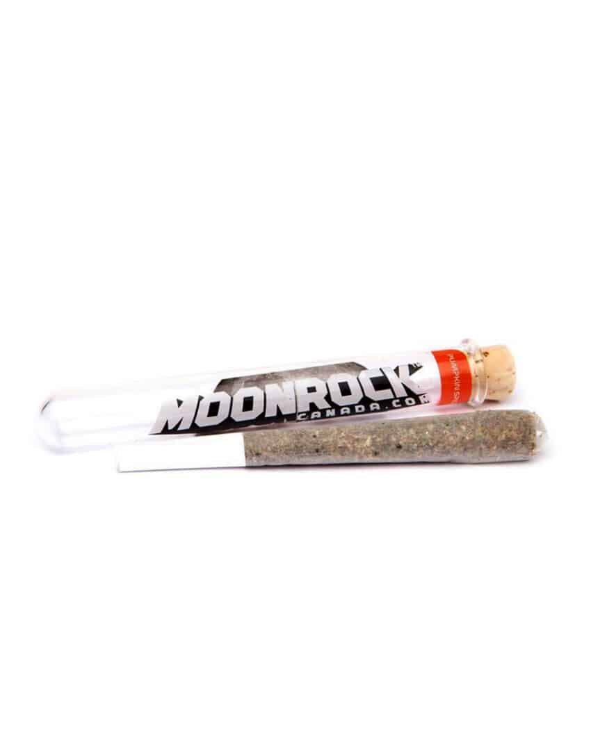 Pumpkin Spice - 1.2g