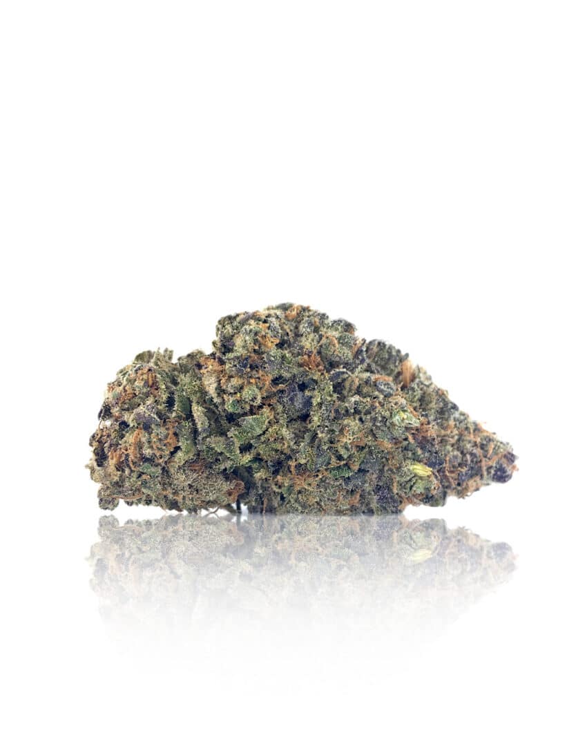 Purple White Lightning - Hybrid