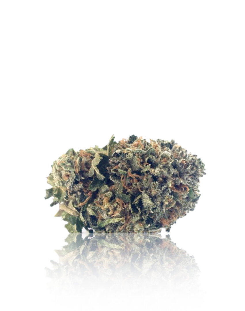 Purple Hindu Kush - Indica