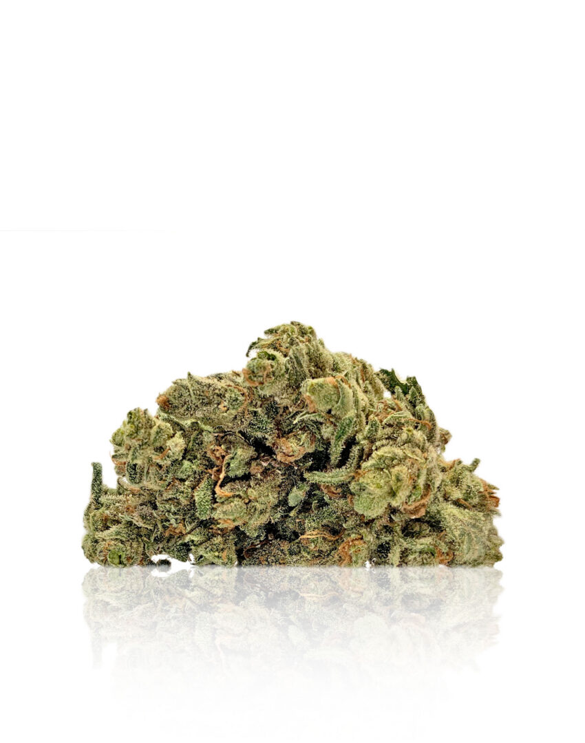 Blue Blanca - Hybrid, Indica