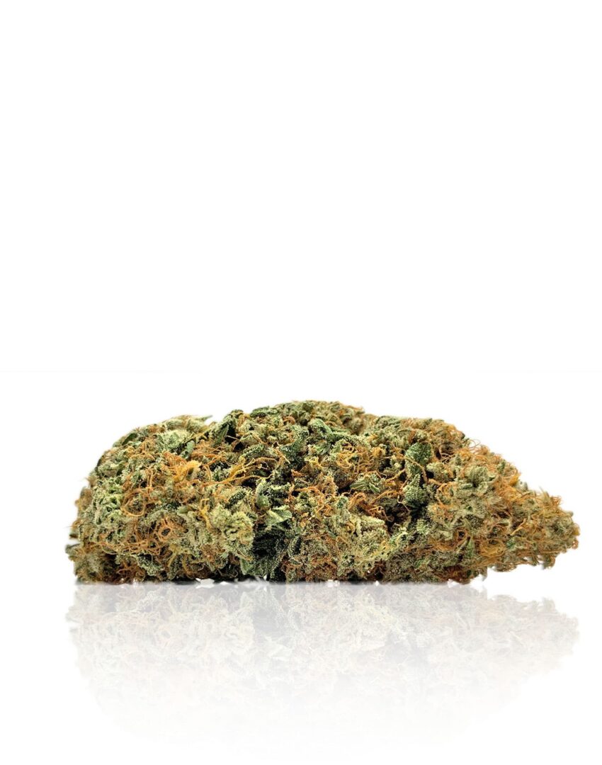 Phenom - Hybrid, Indica