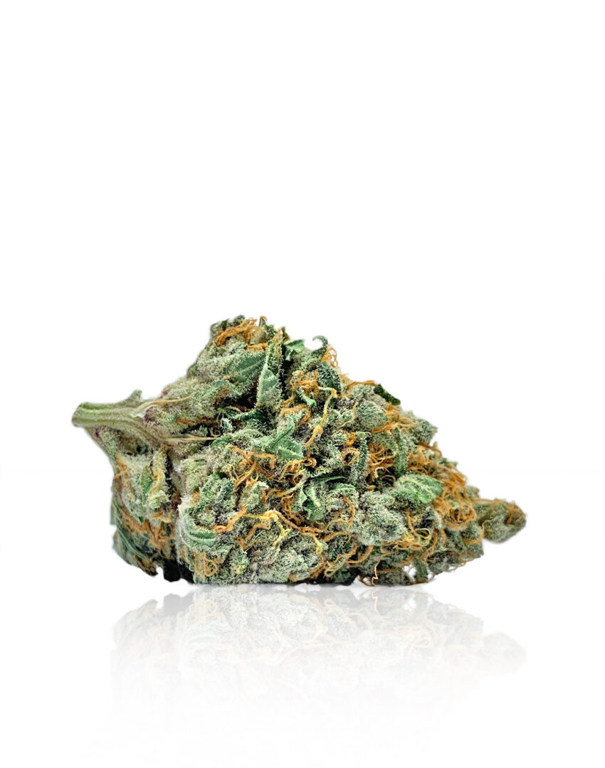 Blueberry AK - Hybrid