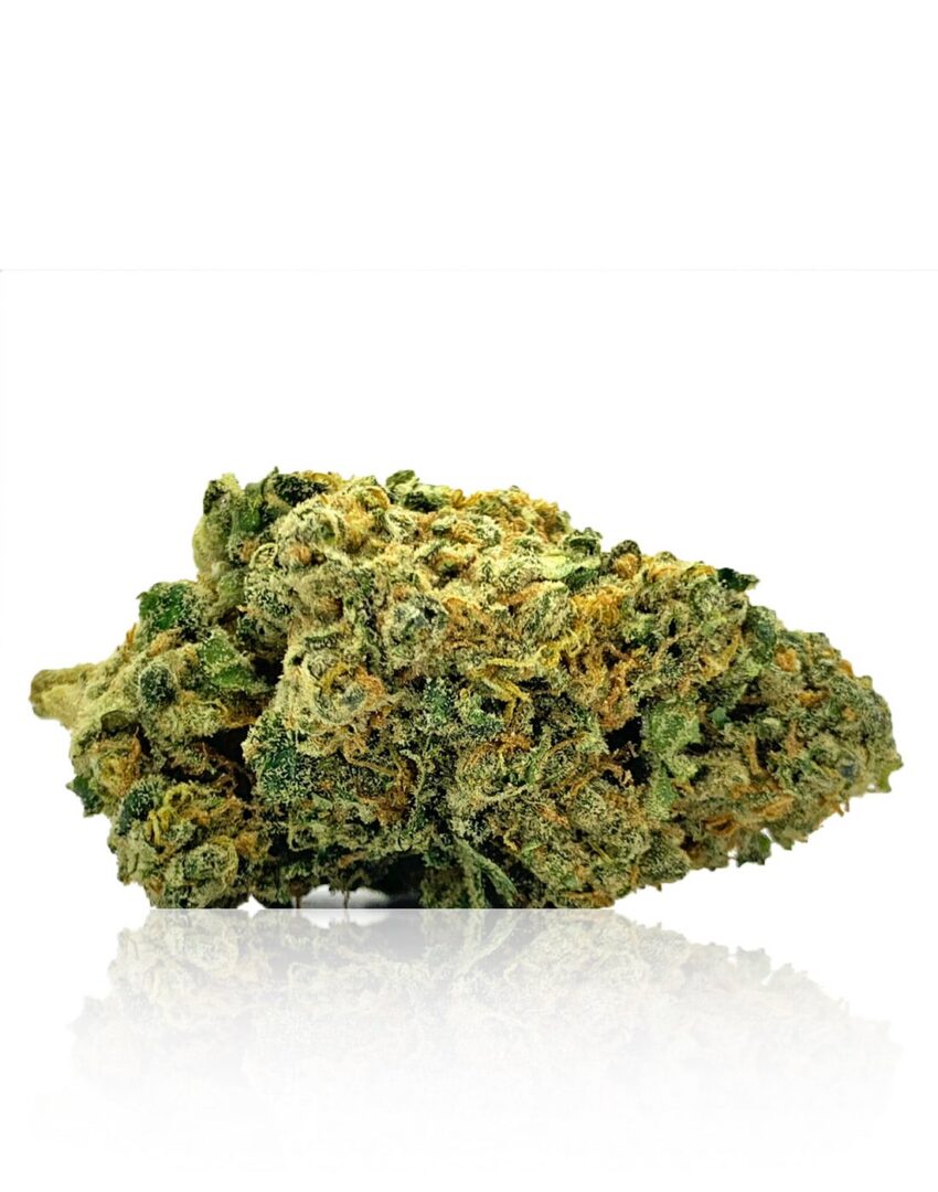 (AAAA) Moby Dick