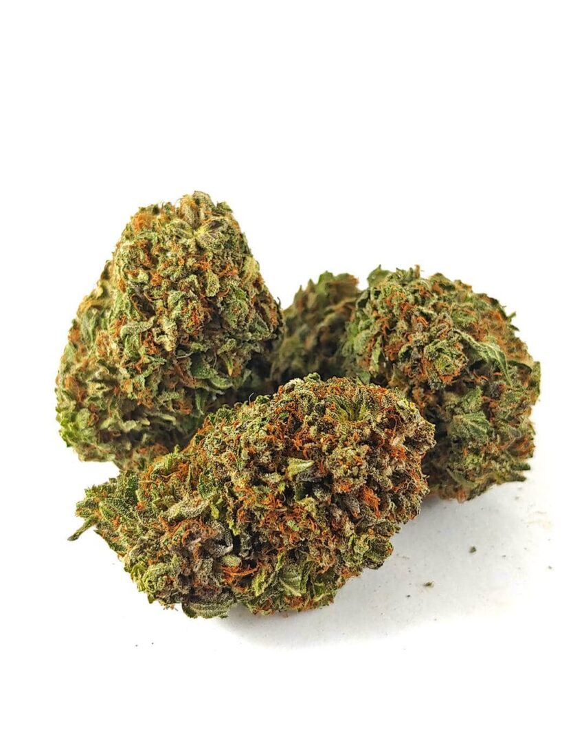 (AA+) Purple Candy
