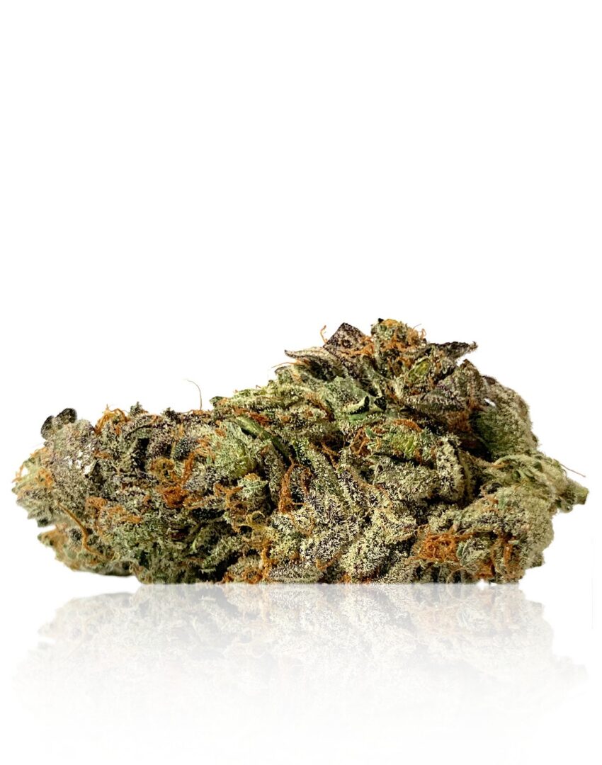 Rockstar - Indica