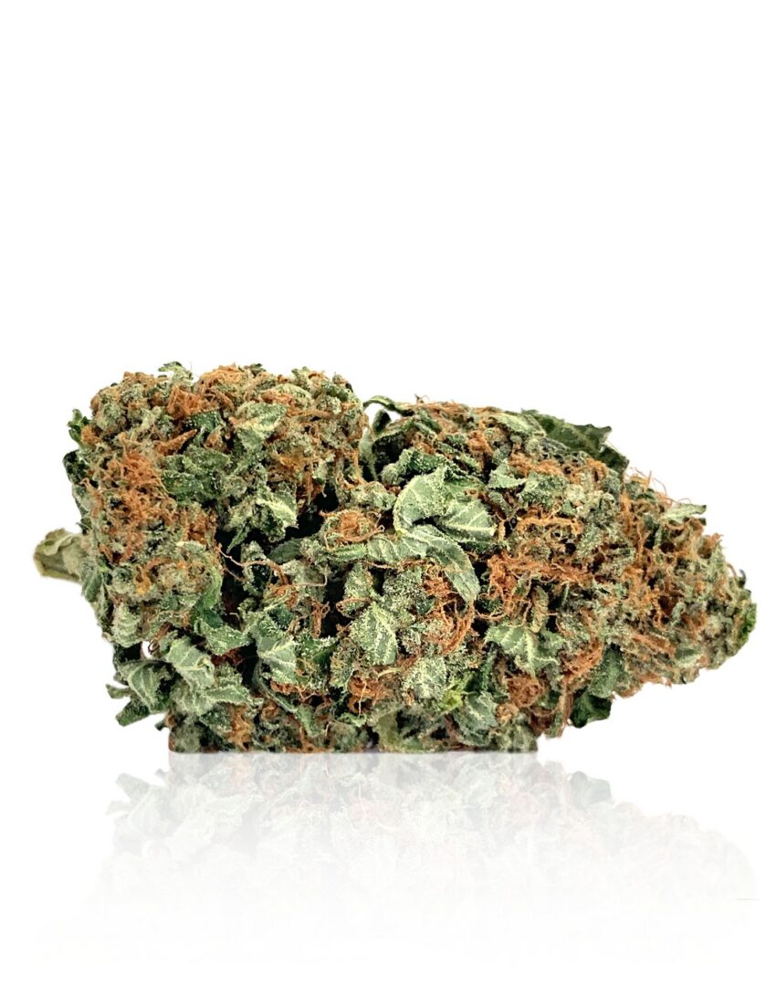 Indica