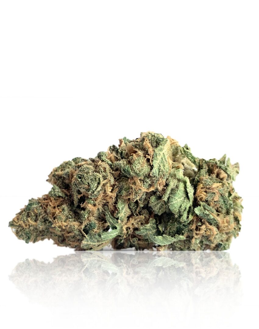 Sativa