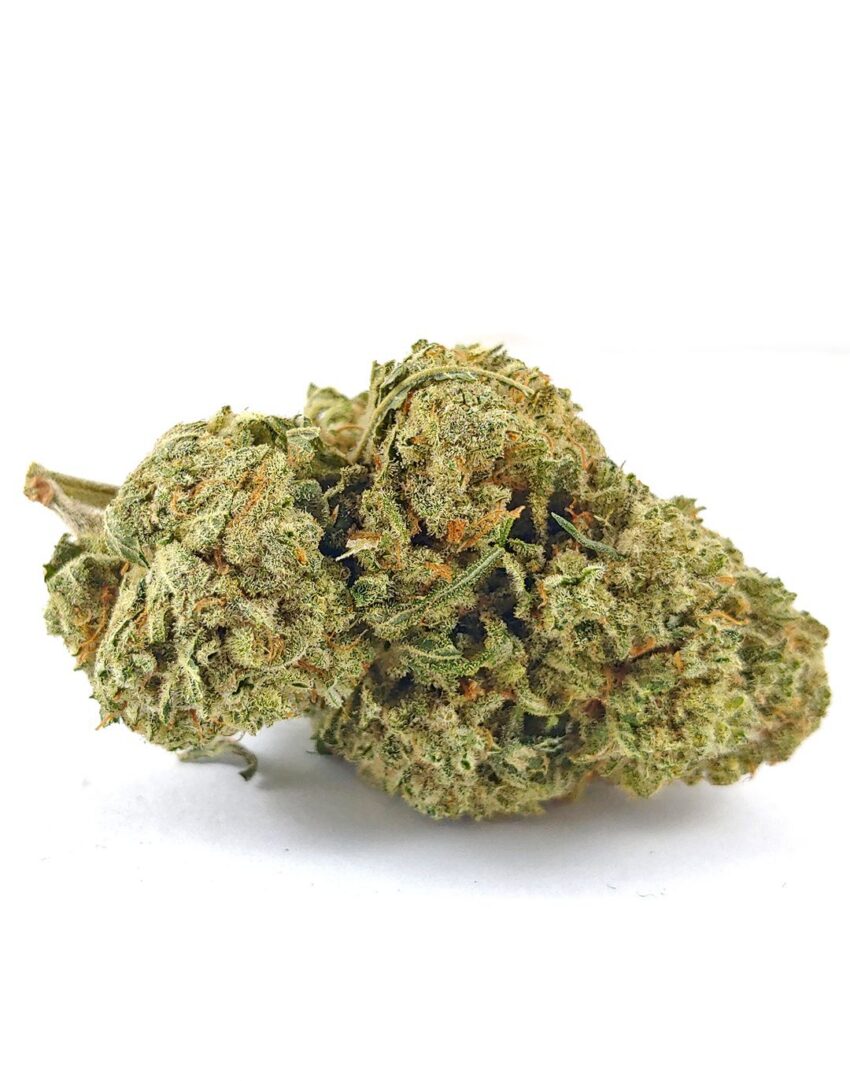 Animal Cookies