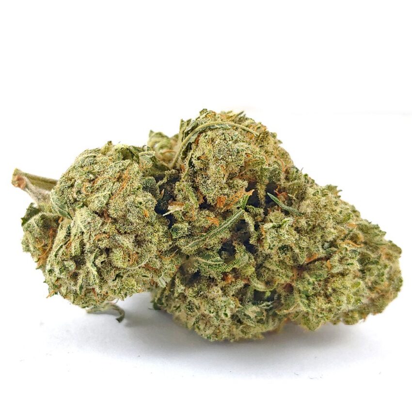 Animal Cookies