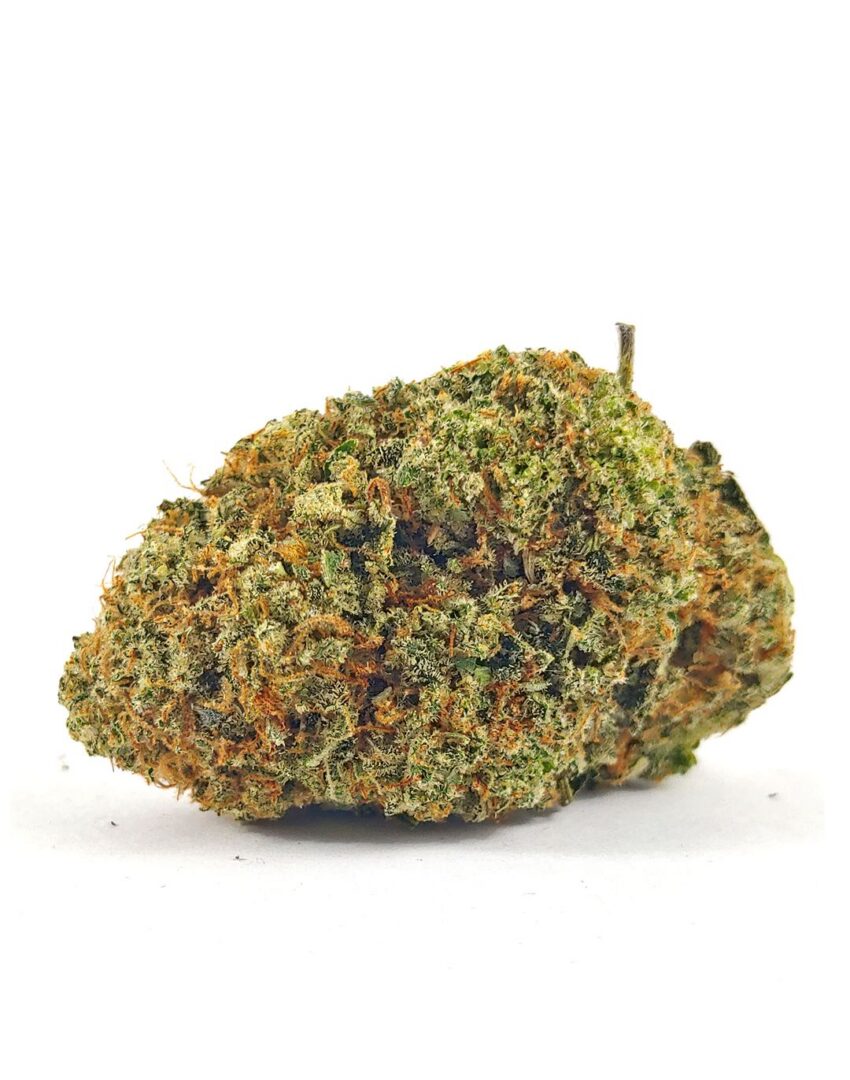 (AAA) Elmer's Glue