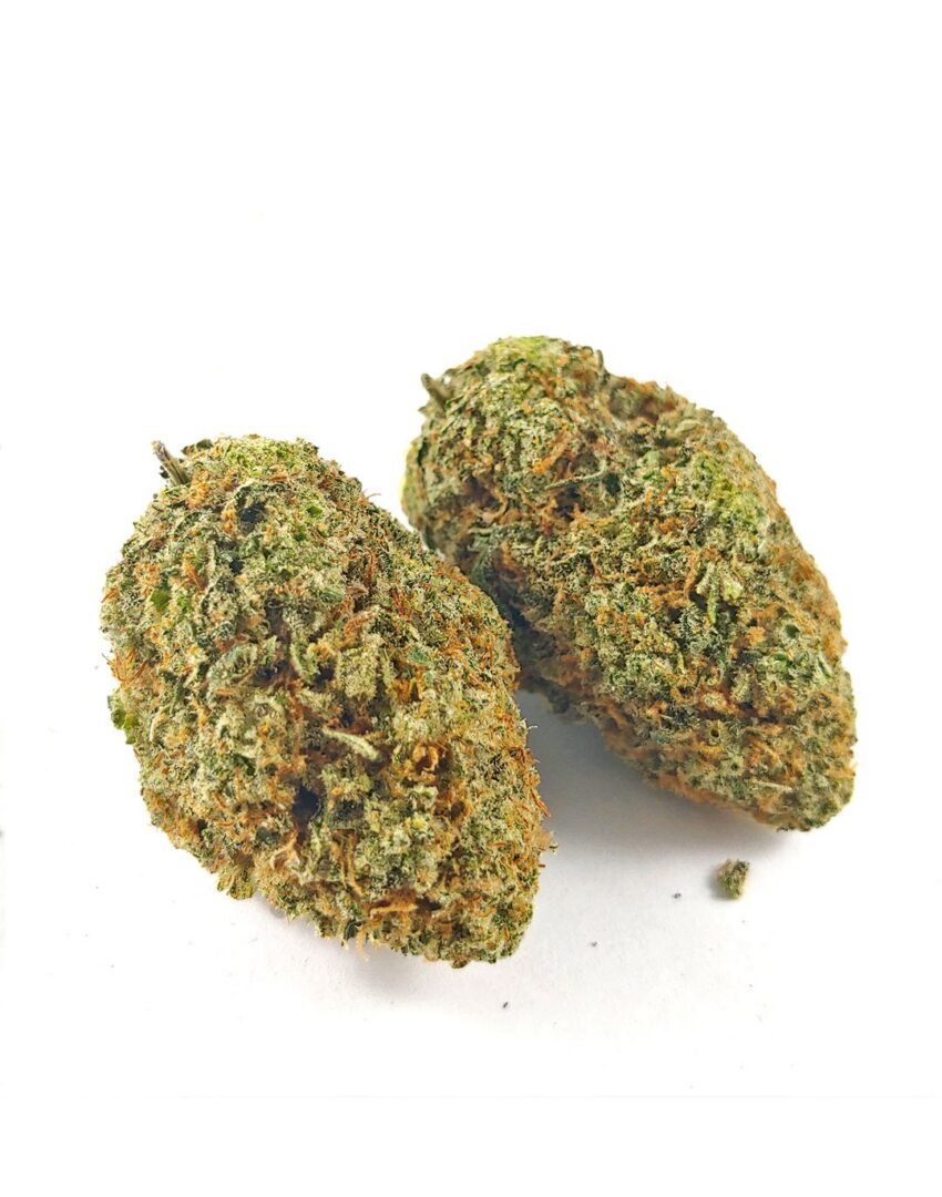 Alternative view of (AAA) Elmer's Glue
