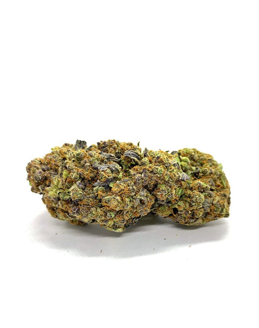 (AAA) Purple Champagne