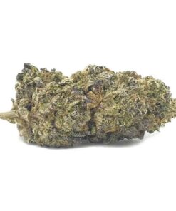 Apes In Space (AAA+)