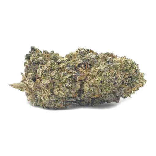 Apes In Space (AAA+)