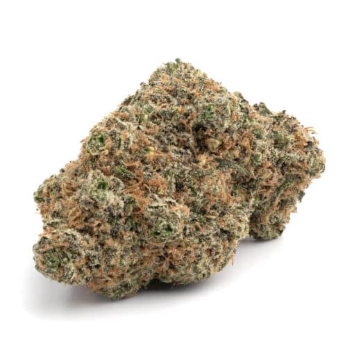 Cactus Cake (AAA)