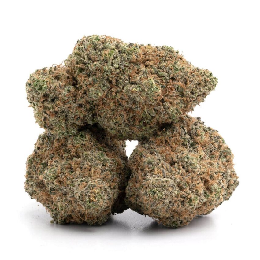 Alternative view of Cactus Cake (AAA)