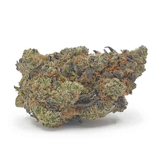 Fort Knox (AAA)