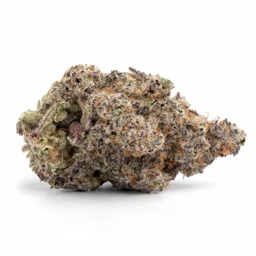 Glitter Bomb (AAA+)