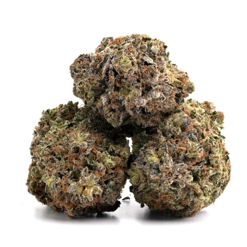 Alternative view of Meat Breath (AAA)