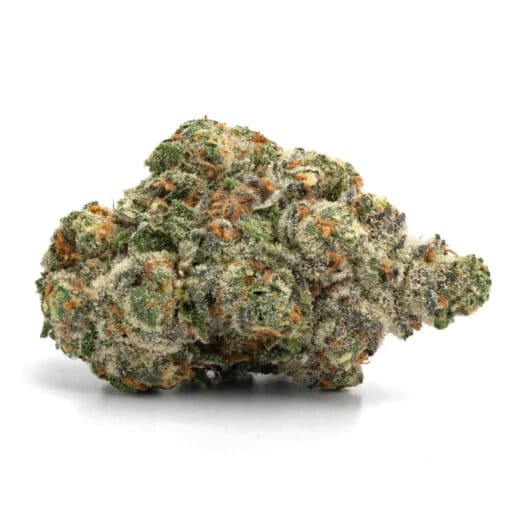 Sunset Sherbet (seeds) (AAA)