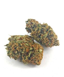 Alternative view of (AAA+) Rock Tuna