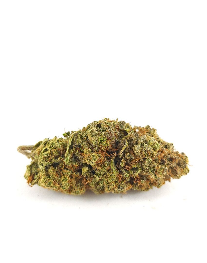 (AAA) Grape Mimosa