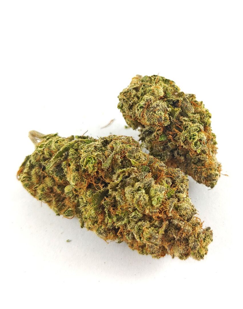 Alternative view of (AAA) Grape Mimosa