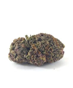 Tropicana Cookies Purple (AAA+)