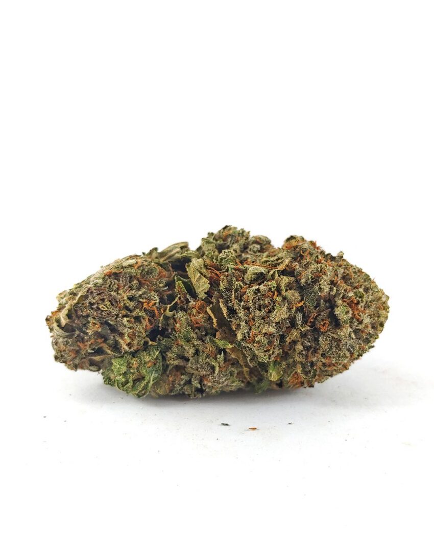 (AAA+) Purple Icewreck