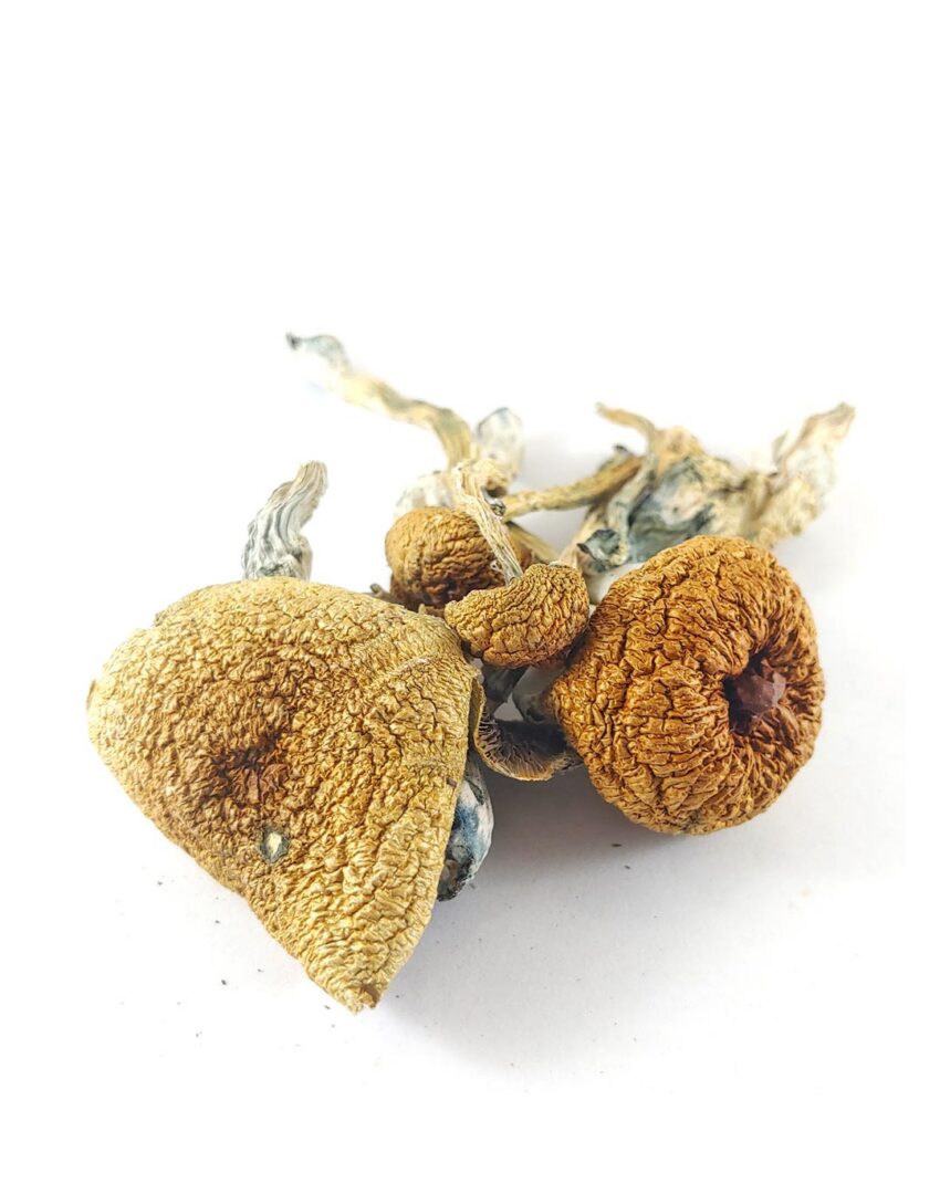 Alternative view of Penis Envy