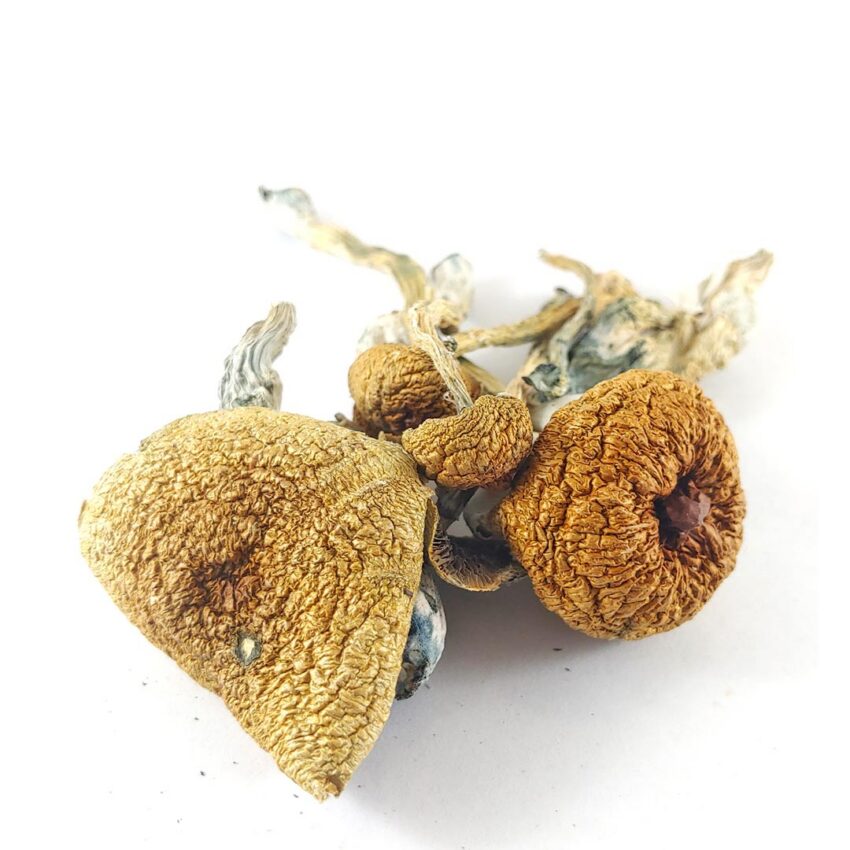 Alternative view of Penis Envy