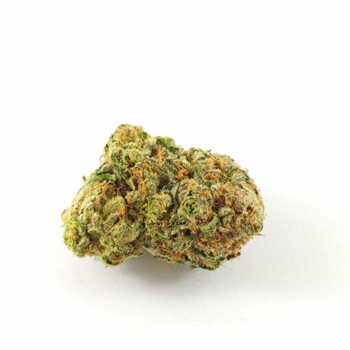 Animal Cookies (AAA)