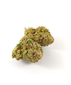 Alternative view of Animal Cookies