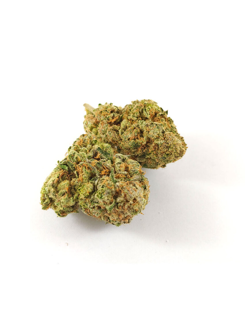 Alternative view of Animal Cookies