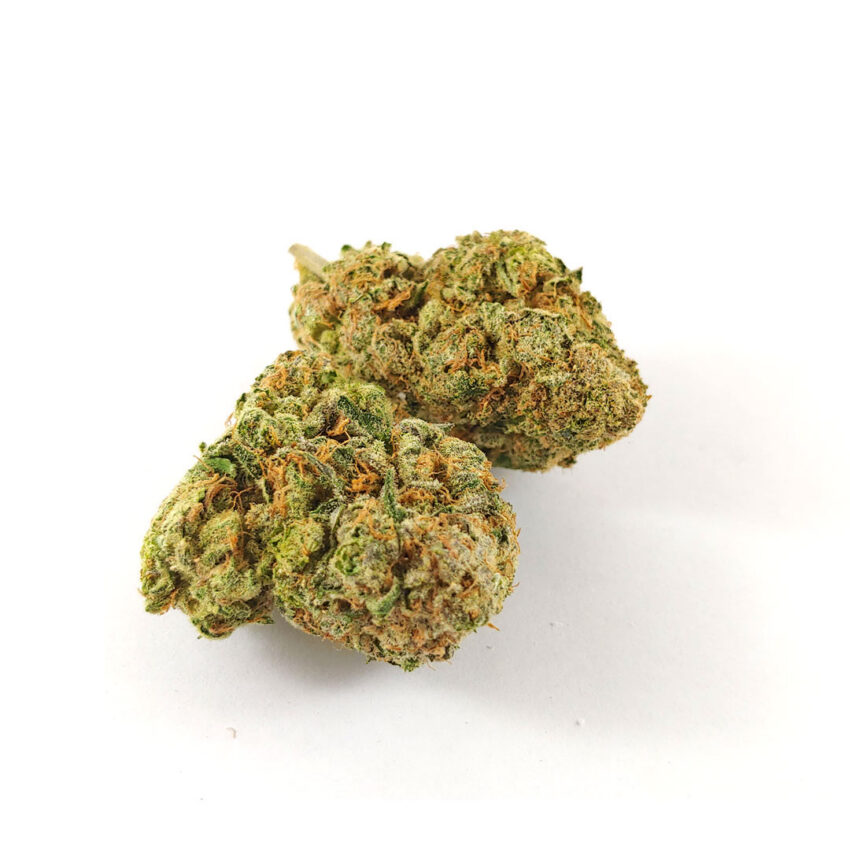 Alternative view of Animal Cookies