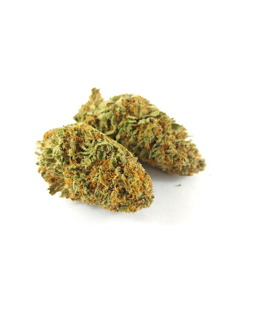 Alternative view of Atomic Northern Lights (AAA)