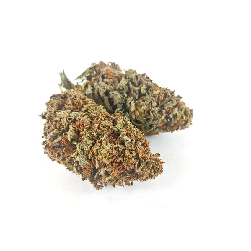 Alternative view of (AAA) Black Roses