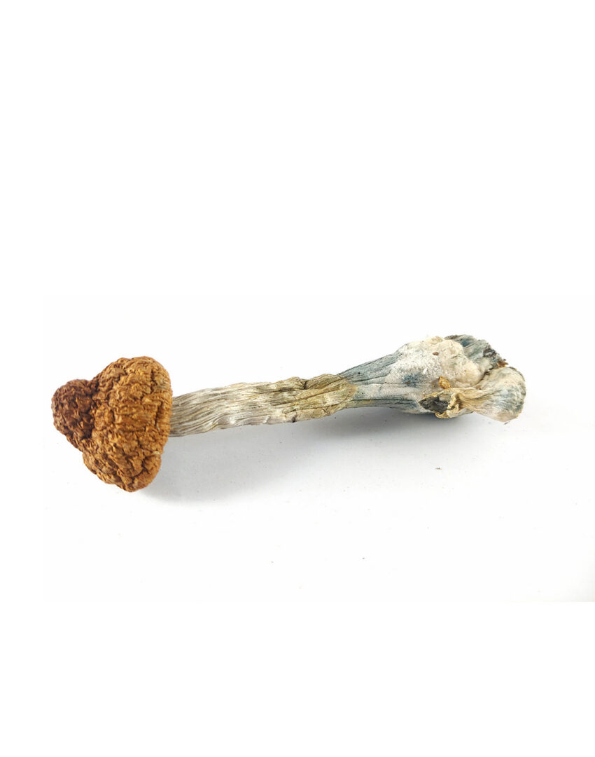 Alternative view of Mazatapec