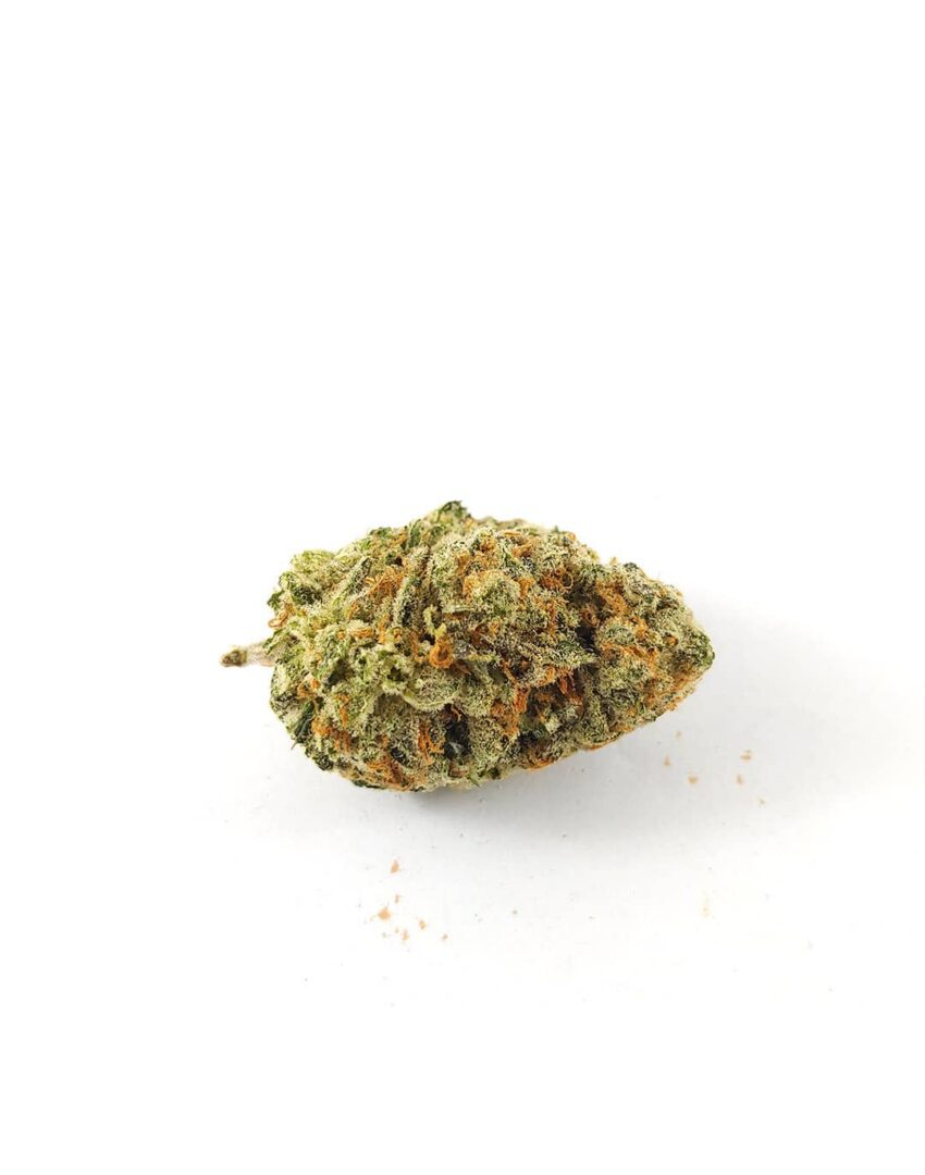(AAA) Cookie Puss