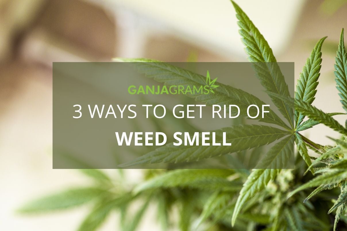 3 Ways to Get Rid of Weed Smell